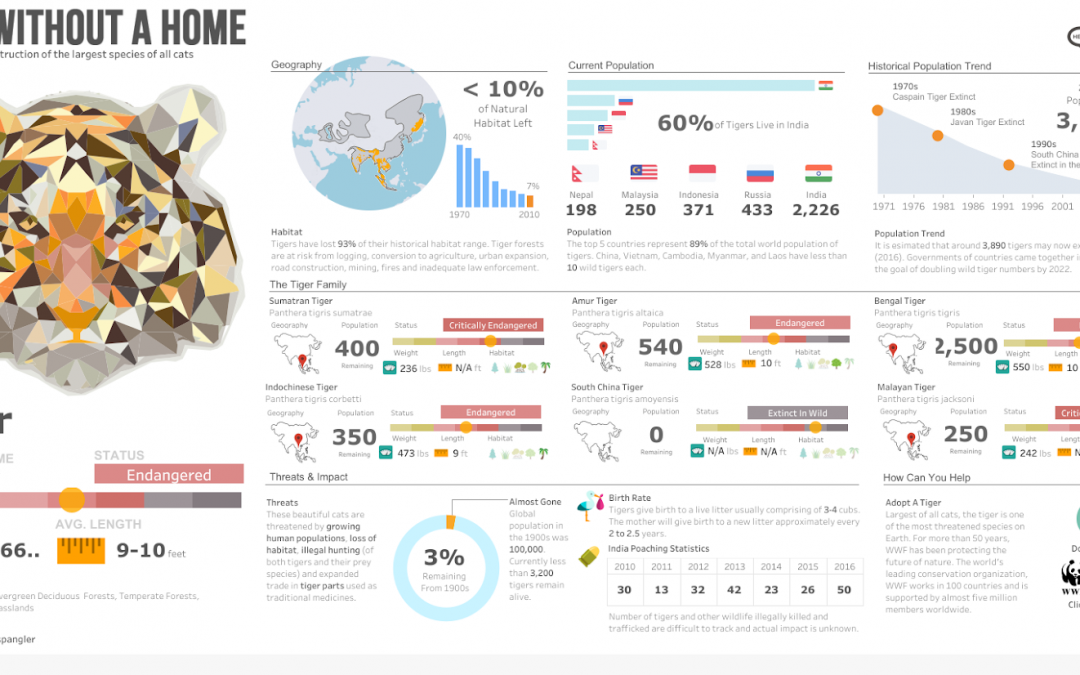 La importancia de un dashboard inteligentes