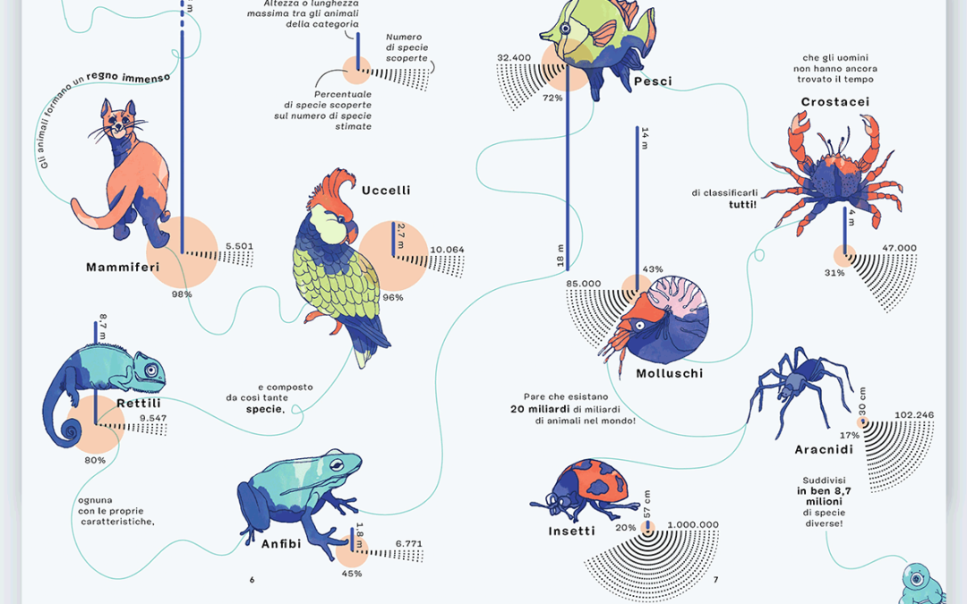 La importancia del contenido visual; ¿Cómo lo digiere nuestro cerebro?